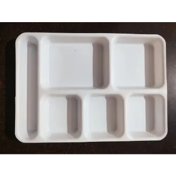 Disposable Food Tray